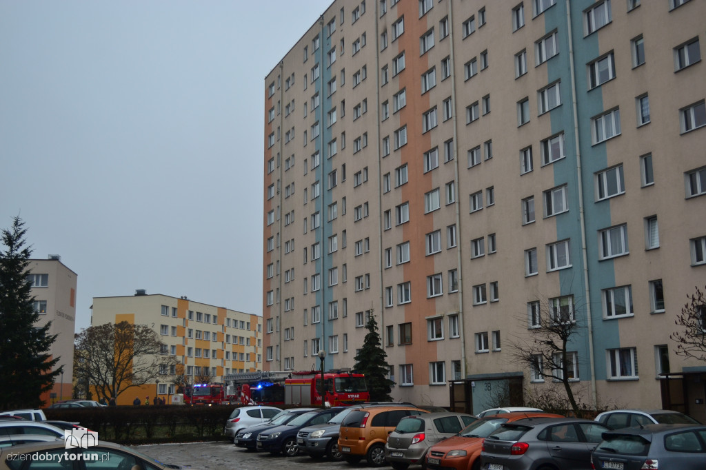 Toruń: pożar przy Filomatów Pomorskich