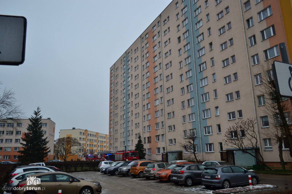 Toruń: pożar przy Filomatów Pomorskich