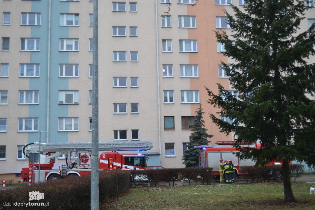 Toruń: pożar przy Filomatów Pomorskich