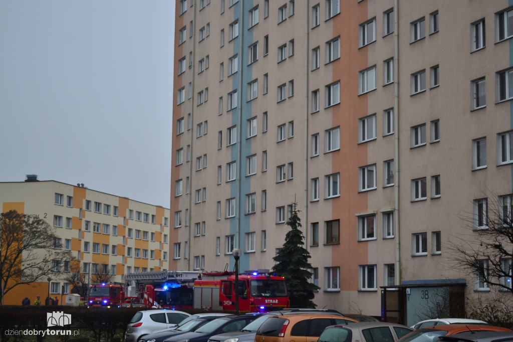 Toruń: pożar przy Filomatów Pomorskich