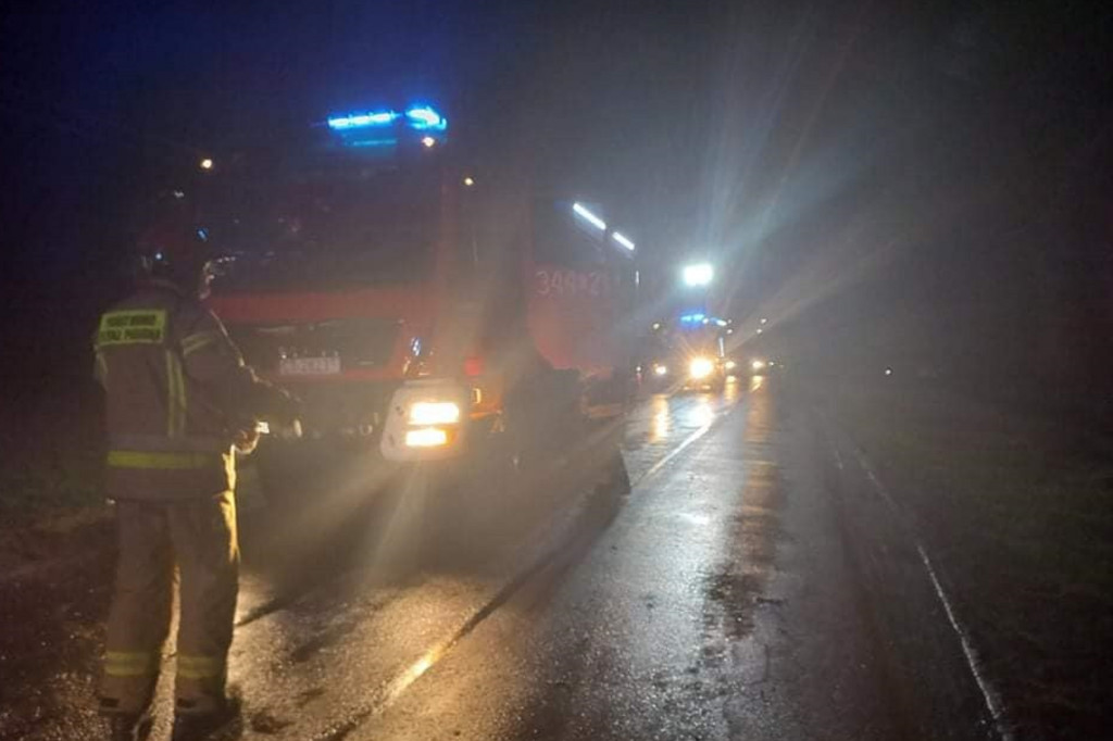 Zdarzenie w Zelgnie pod Toruniem