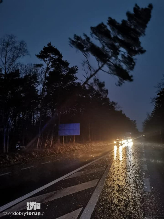 Silny wiatr w Toruniu i powiecie