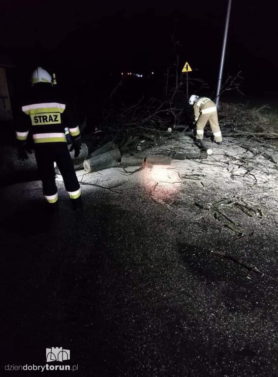 Silny wiatr w Toruniu i powiecie