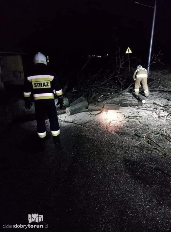 Silny wiatr w Toruniu i powiecie