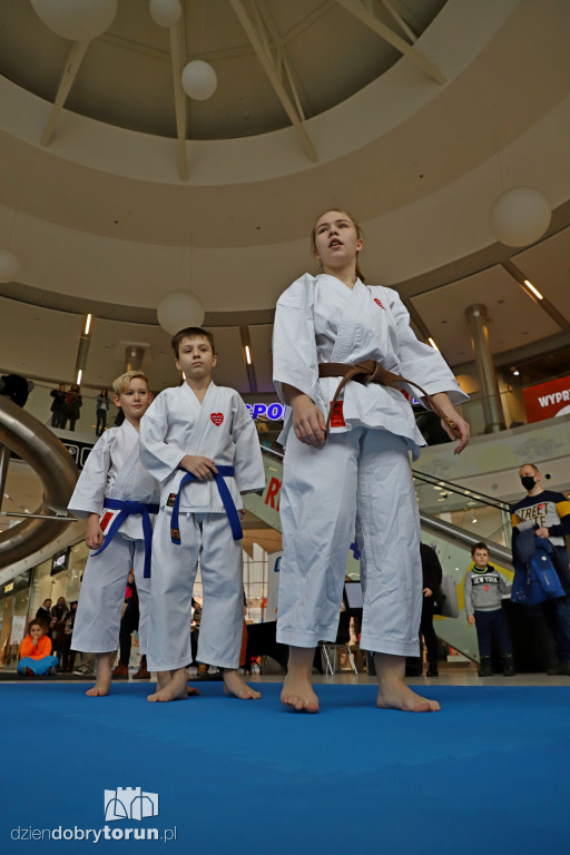 WOŚP w Plazie upływa pod znakiem sportu