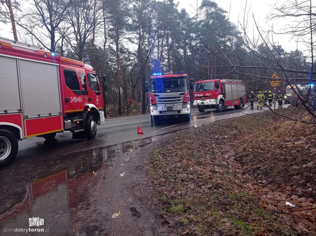 Toruń: zderzenie dwóch pojazdów osobowych