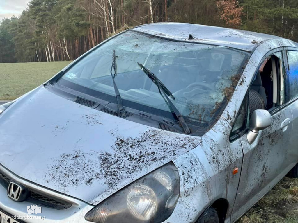 Toruń i okolice: dachowanie osobówki