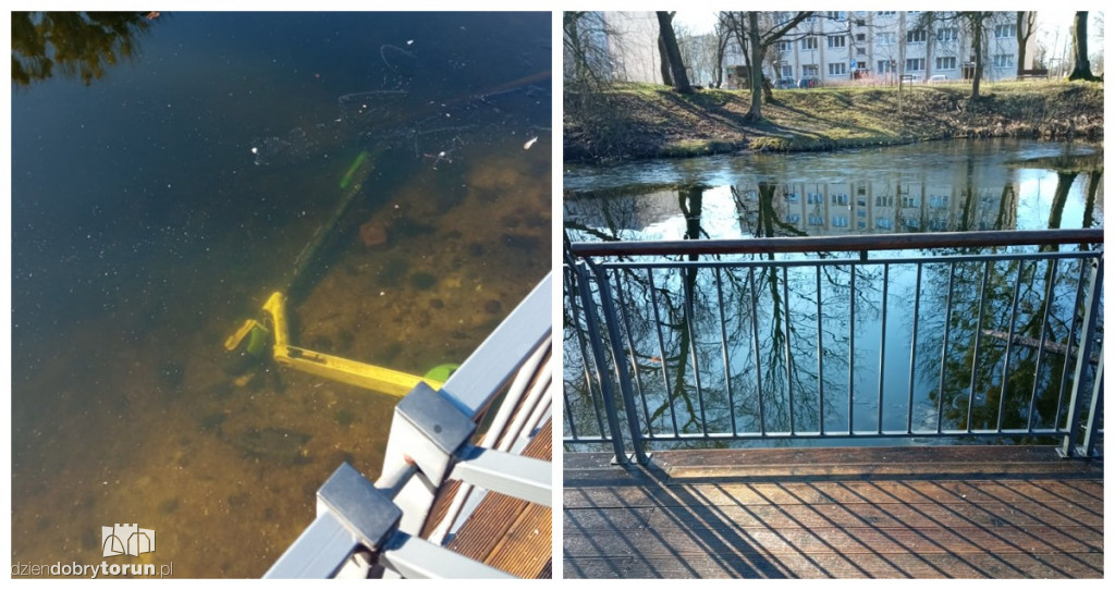Toruń: wandalizm w Parku Tysiąclecia