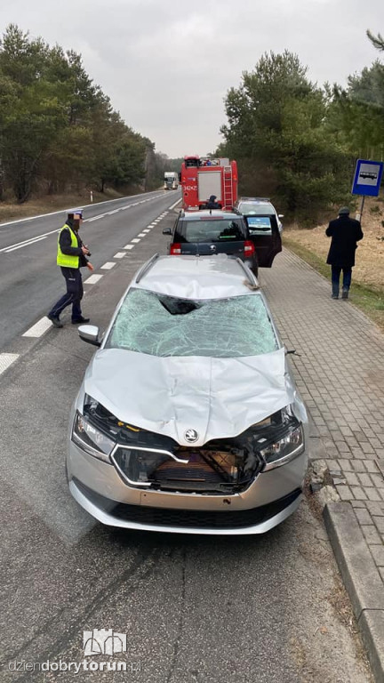 Wypadek we wsi pod Toruniem