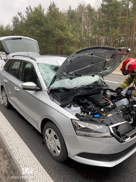 Wypadek we wsi pod Toruniem