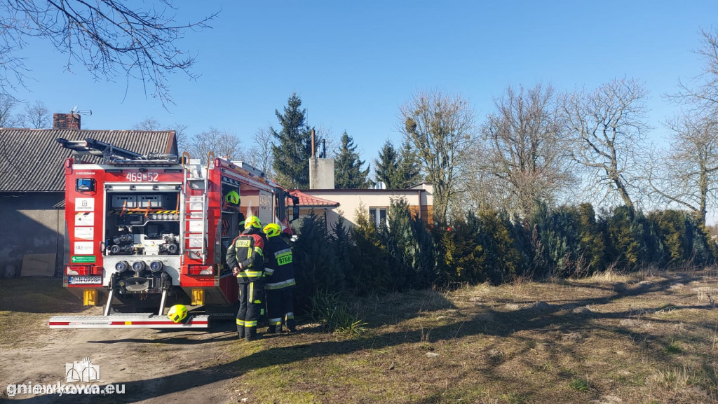 Tragiczny pożar w pobliżu Torunia