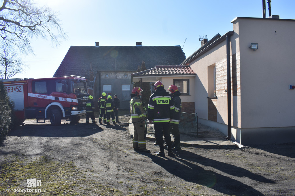 Tragiczny pożar w pobliżu Torunia