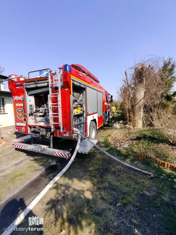 Pożar trawy w Papowie Toruńskim