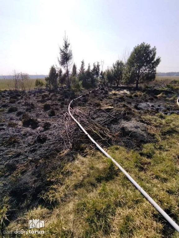 Pożar trawy w Papowie Toruńskim
