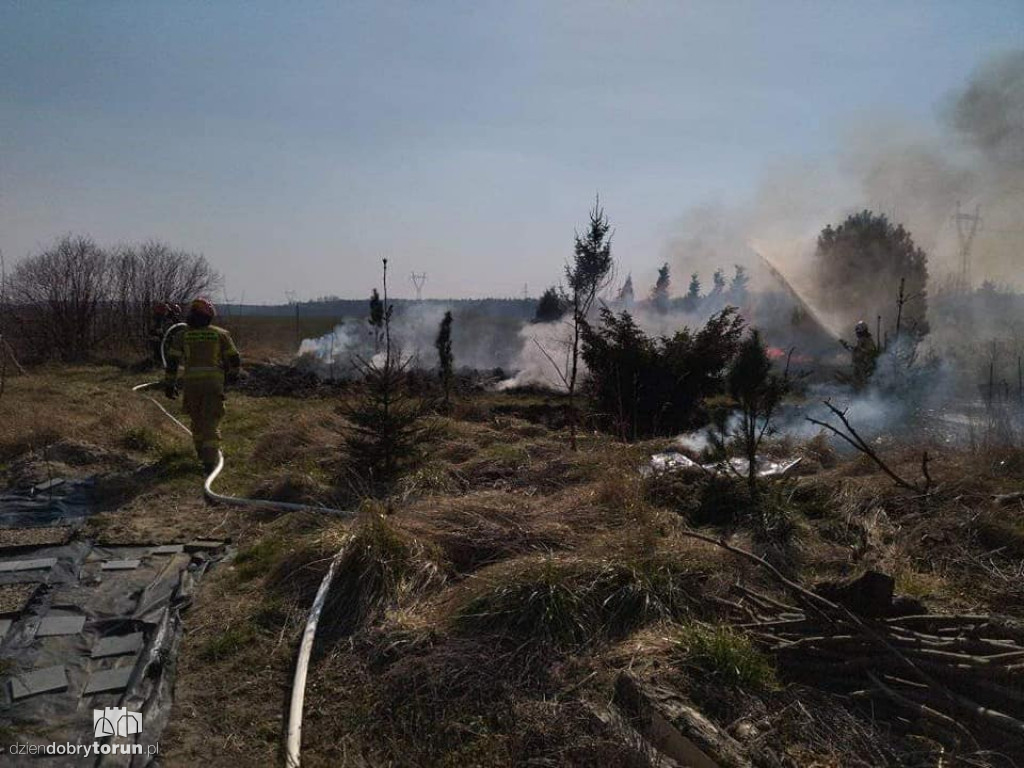 Pożar trawy w Papowie Toruńskim
