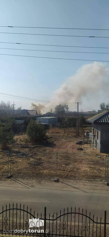 Pożar trawy w Papowie Toruńskim
