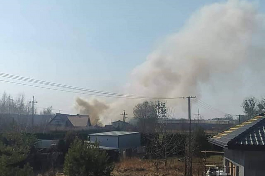 Pożar trawy w Papowie Toruńskim