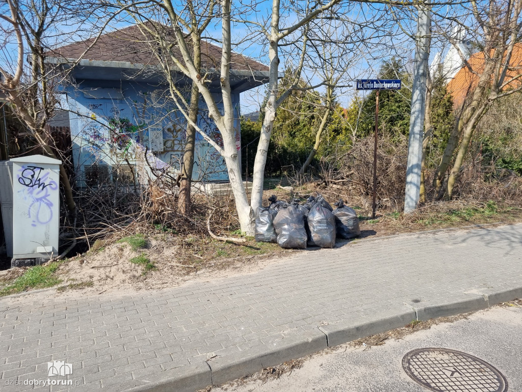 Mieszkańcy Stawek porządkowali teren