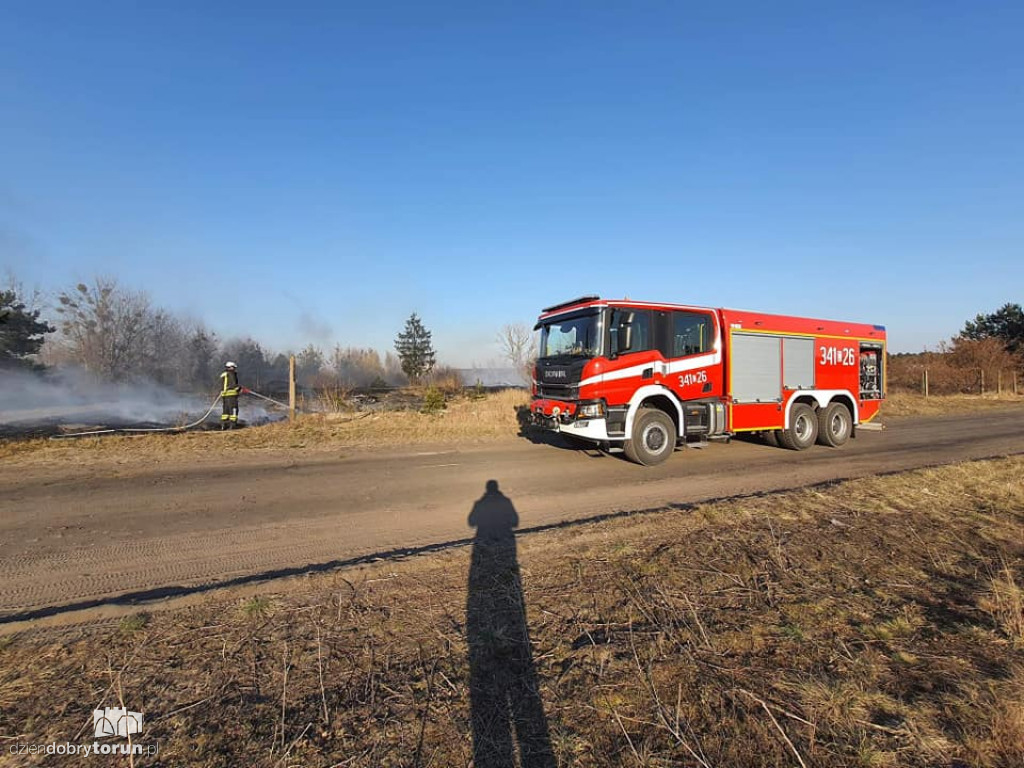 Toruń: pożar trawy przy ul. Poznańskiej