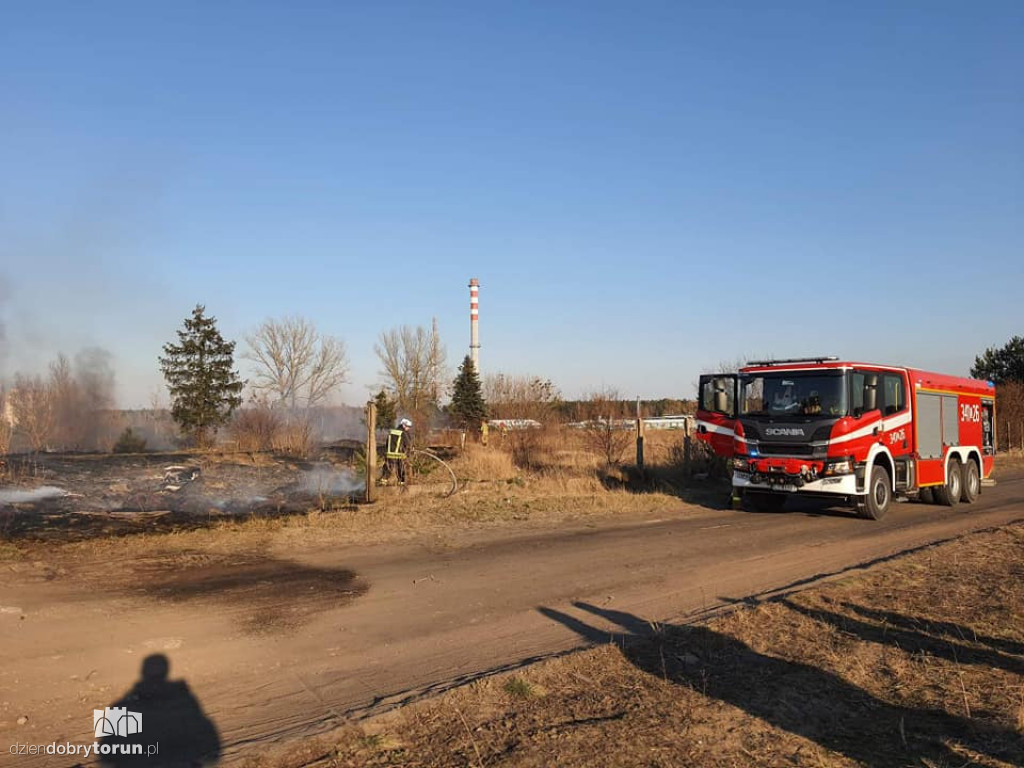 Toruń: pożar trawy przy ul. Poznańskiej