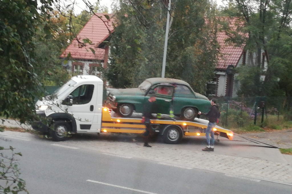 Toruń: policja poszukuje złodziei