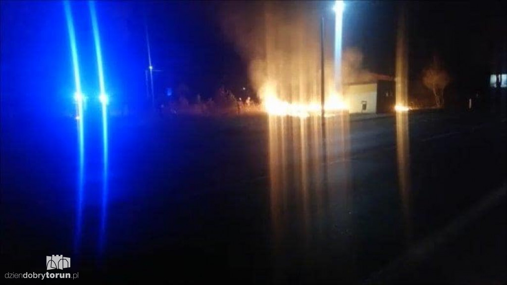 Pożar trawy niedaleko Torunia