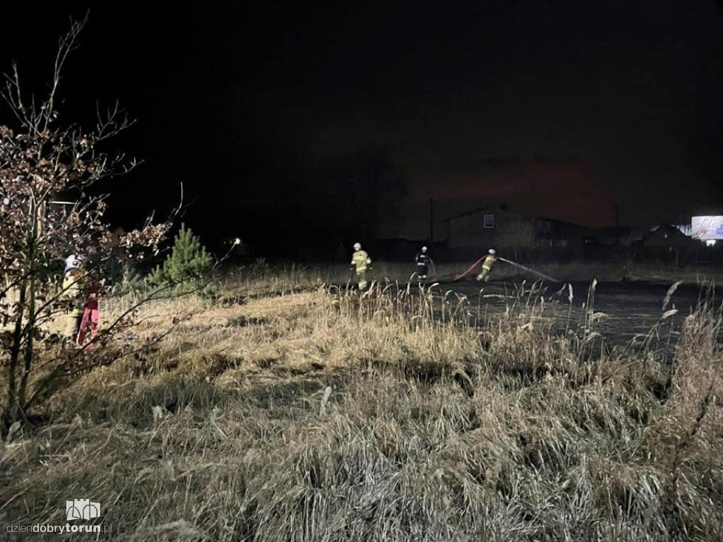 Pożar trawy niedaleko Torunia