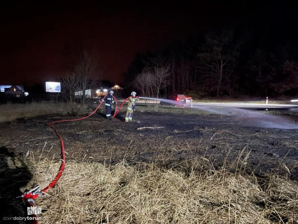 Pożar trawy niedaleko Torunia
