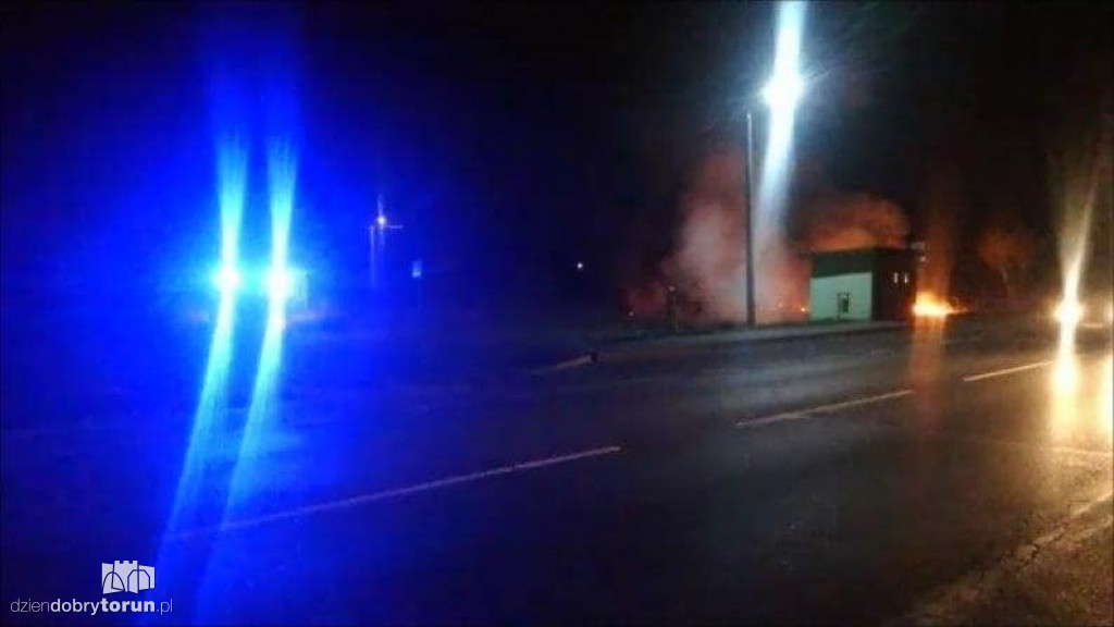 Pożar trawy niedaleko Torunia