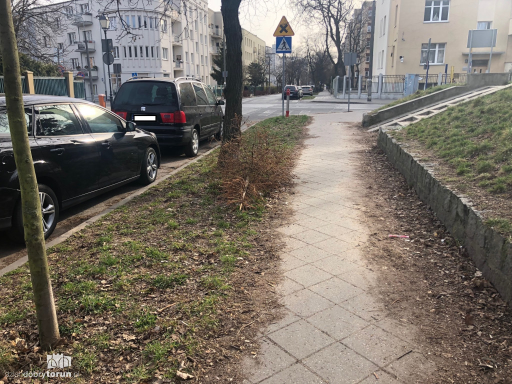 Niecodzienny widok przy Słowackiego w Toruniu