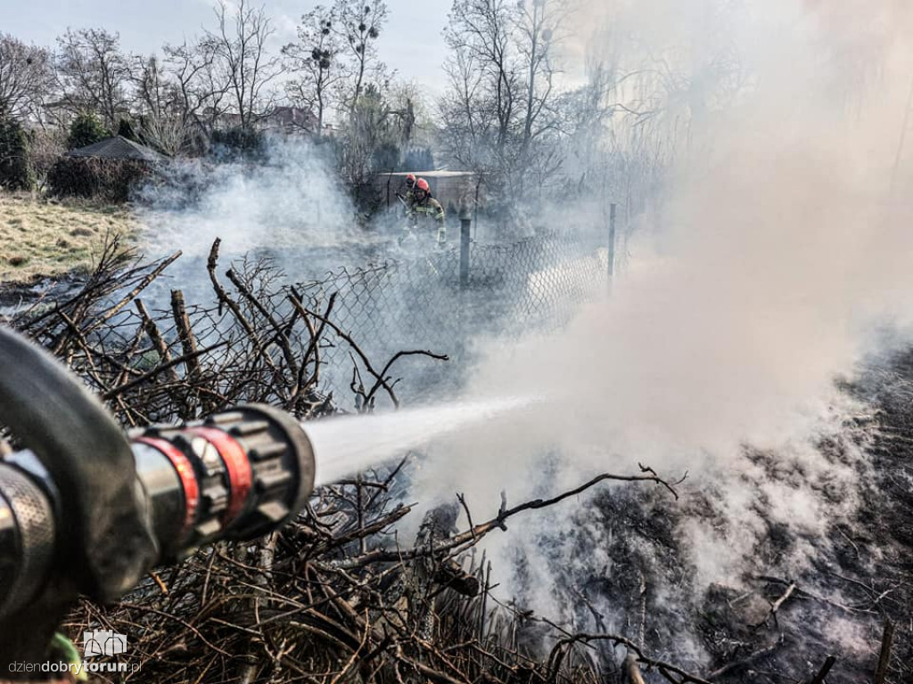 Toruń: pożar przy Kościuszki