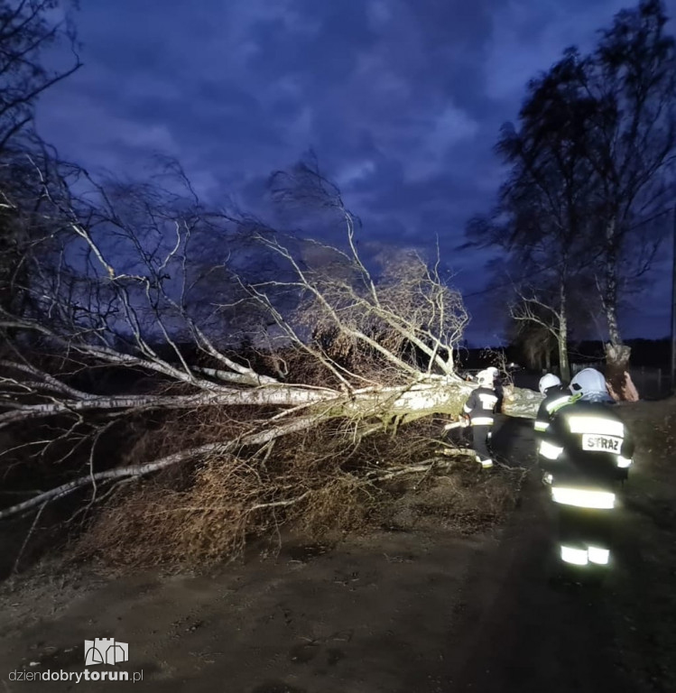 Wichura w pobliżu Torunia