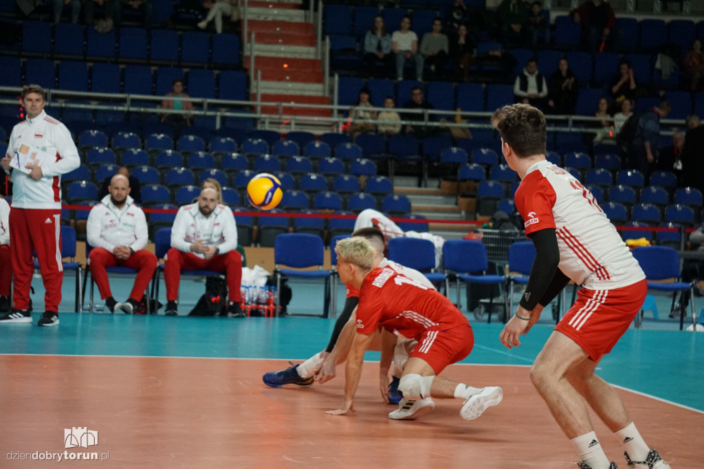 Polska - Ukraina 3:0 w el. ME