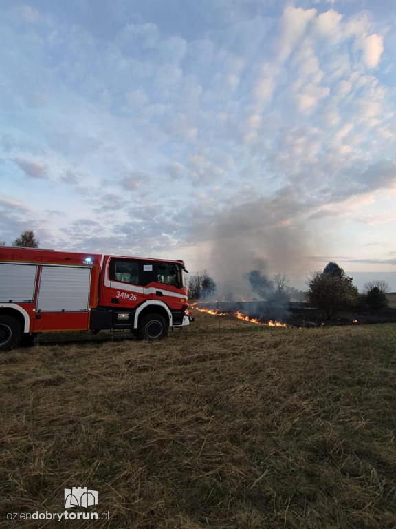 Toruń: pożar trawy przy ul. Morwowej