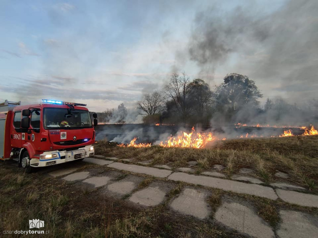 Toruń: pożar trawy przy ul. Morwowej