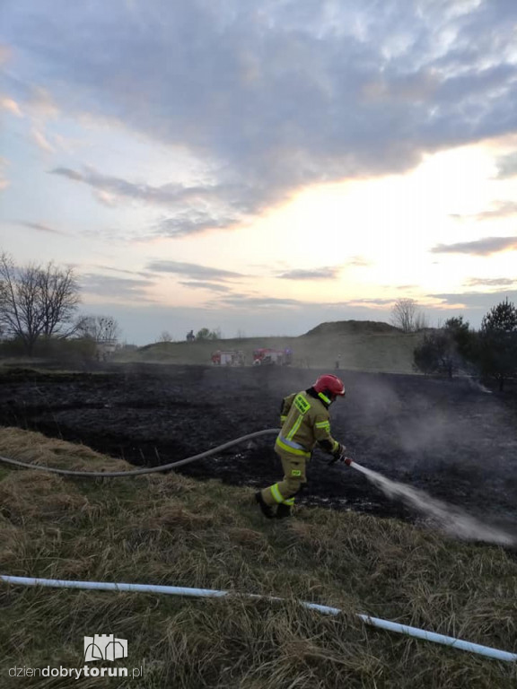 Toruń: pożar trawy przy ul. Morwowej