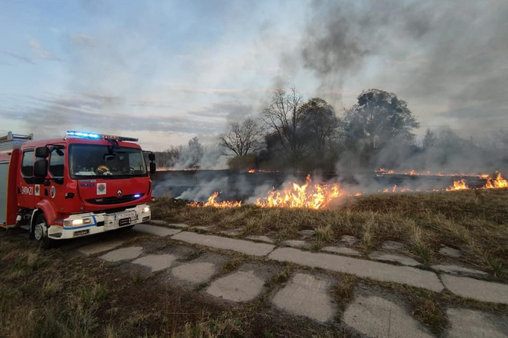 Toruń: pożar trawy przy ul. Morwowej