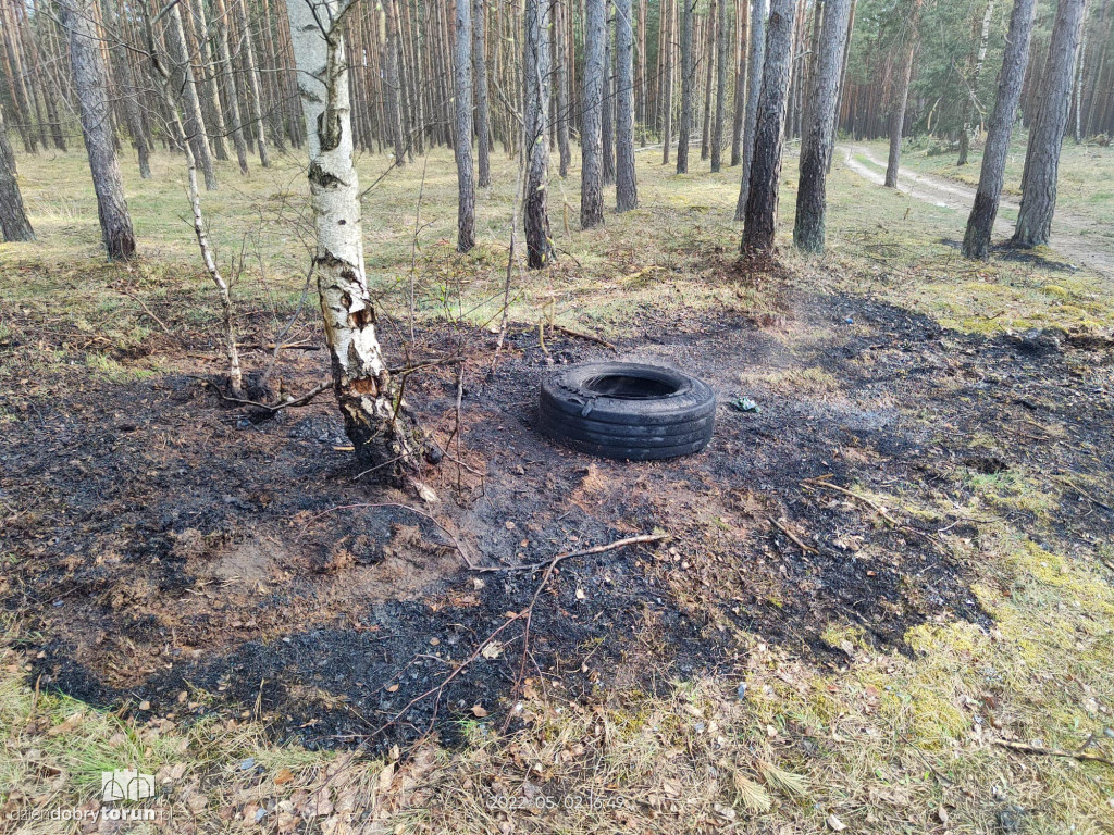 Pożar ciężarówki na drodze pod Toruniem
