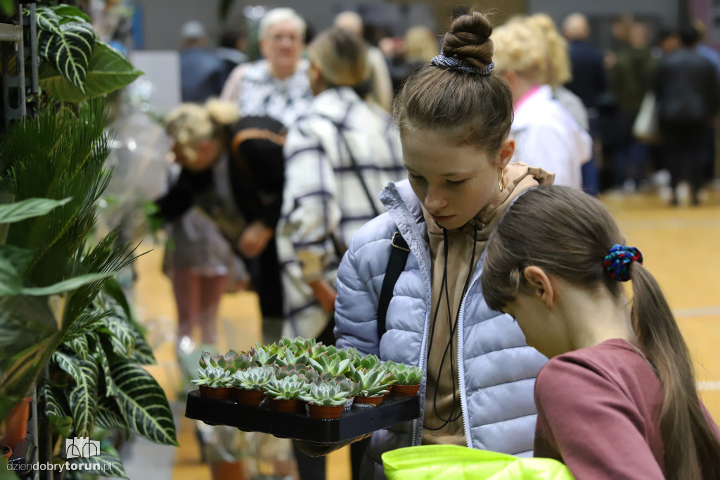 Wiosenny festiwal roślin