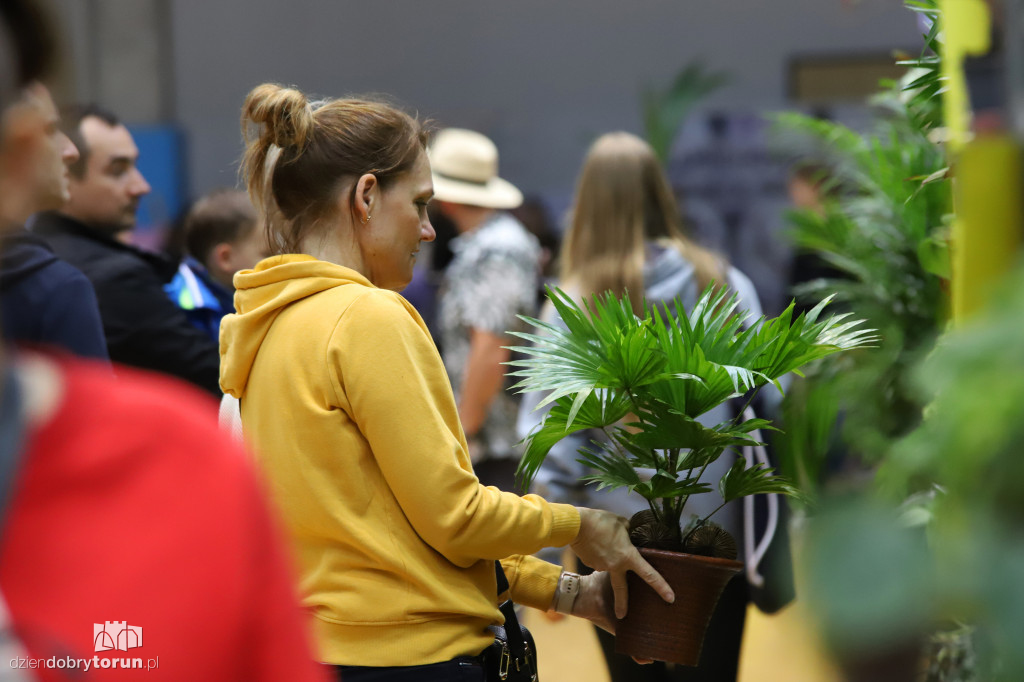 Wiosenny festiwal roślin
