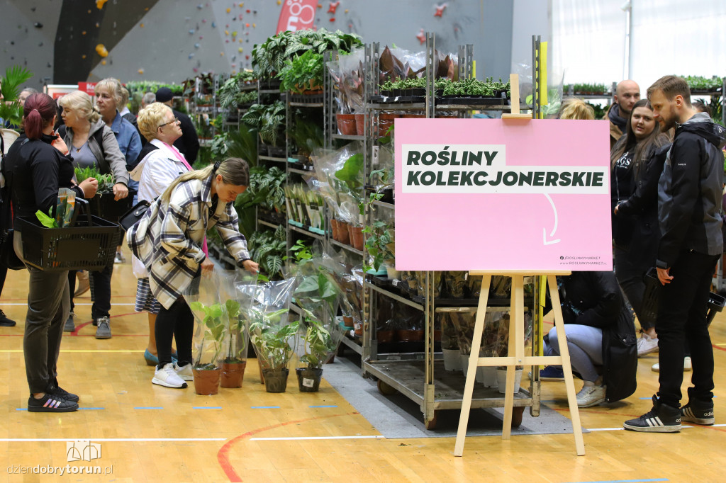 Wiosenny festiwal roślin