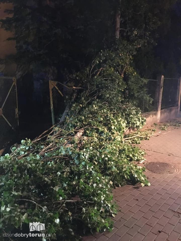 Burza w Toruniu bardzo namieszała