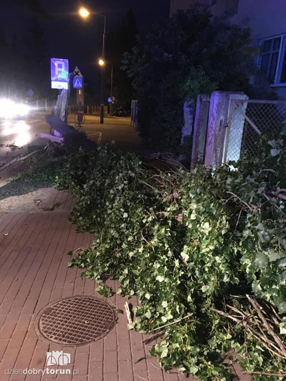 Burza w Toruniu bardzo namieszała