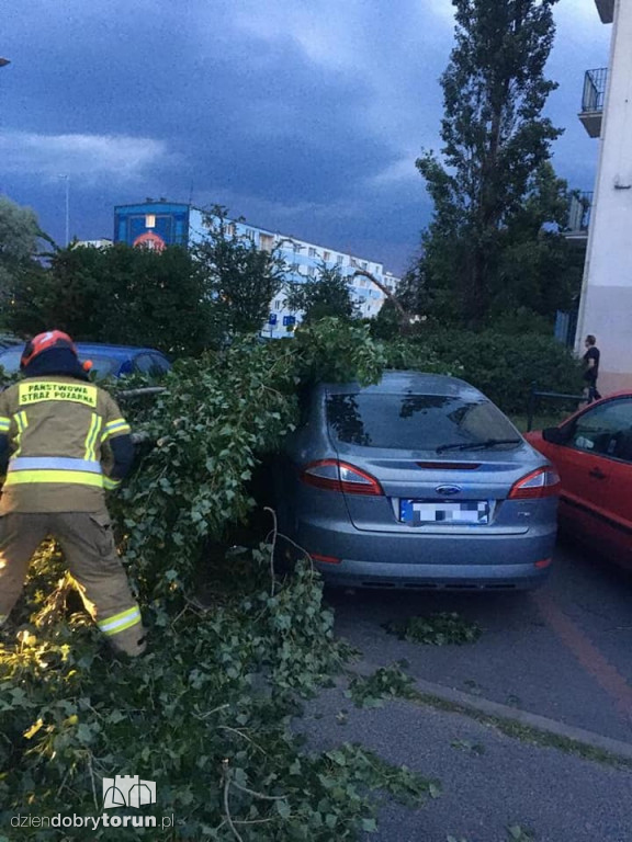 Burza w Toruniu bardzo namieszała