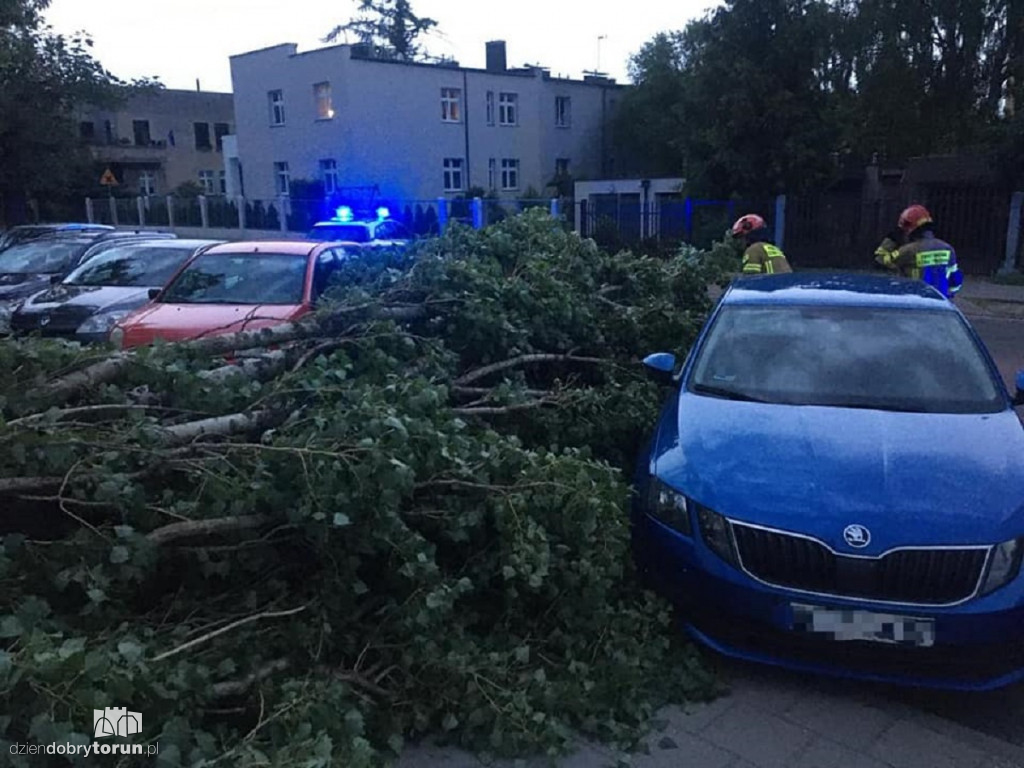 Burza w Toruniu bardzo namieszała