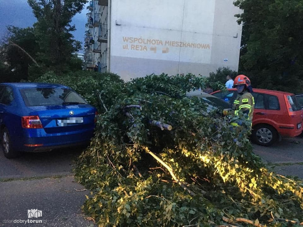 Burza w Toruniu bardzo namieszała