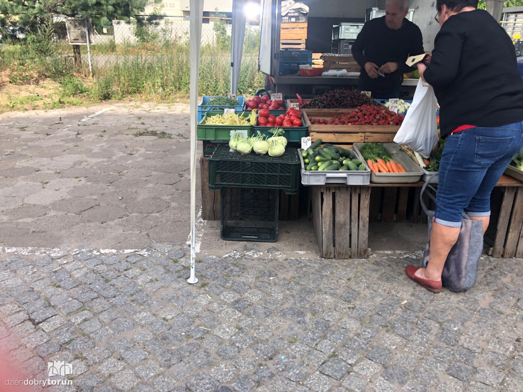 Wizyta na miejskim targowisku