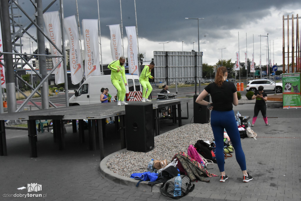 Charytatywny maraton - Zumba dla zwierzaków