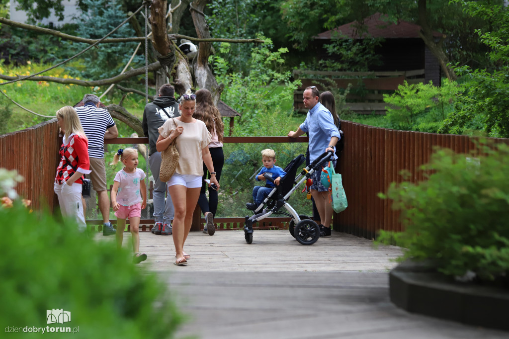 Urodziny Ogrodu Zoobotanicznego