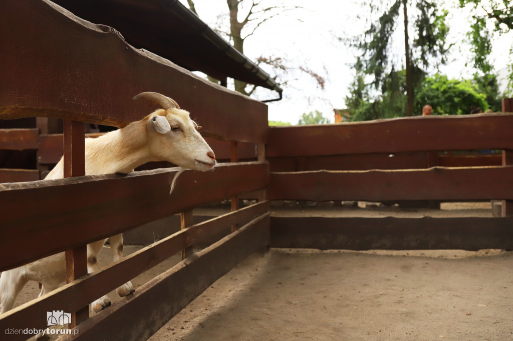 Urodziny Ogrodu Zoobotanicznego